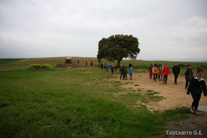 img_1305229528_852