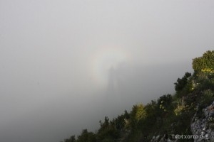 img_1305229529_687