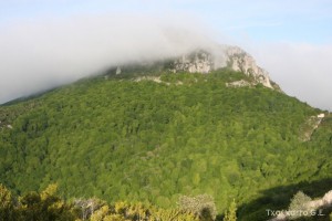 img_1305229529_717