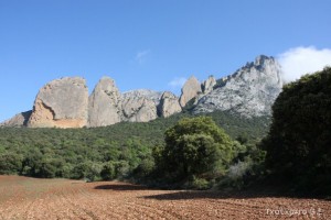 img_1305229530_465