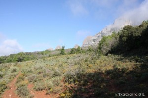 img_1305229530_560