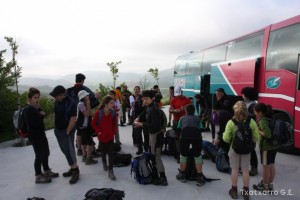 img_1305229530_761