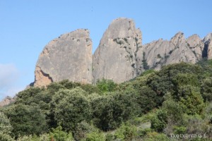 img_1305229530_77