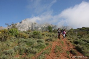 img_1305229530_780