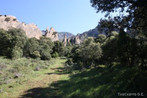 img_1305229532_291
