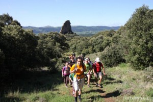img_1305229532_807