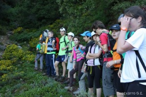 img_1305229533_498