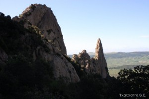 img_1305229533_616