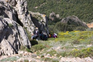 img_1305229535_262