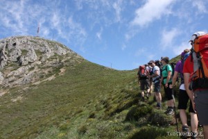 img_1305229536_651