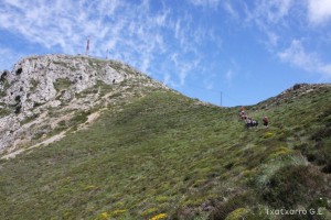 img_1305229536_915