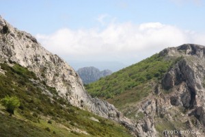 img_1305229537_320