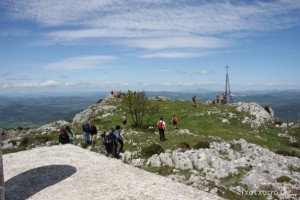 img_1305229537_378