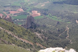 img_1305229538_236