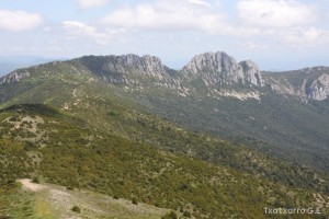img_1305229539_17