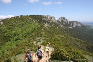 img_1305229539_555