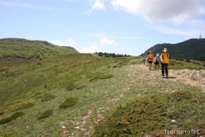 img_1305229539_923