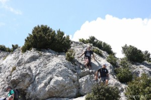 img_1305229540_234