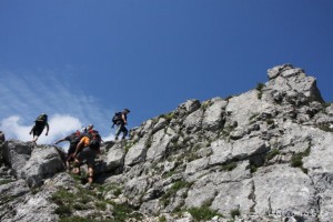 img_1305229540_766