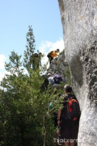 img_1305229540_979