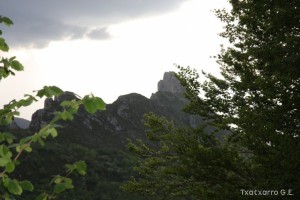 img_1305229542_356
