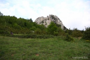 img_1305229542_380