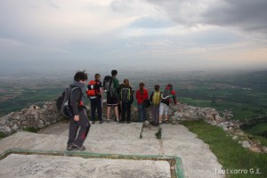 img_1305229545_990