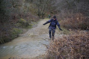 IMG_3964