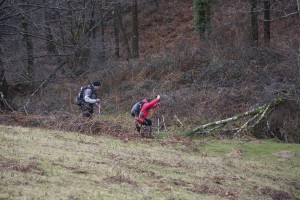 IMG_3969
