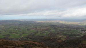 image7