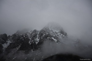 img_1335904173_125_lg