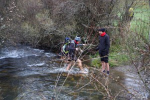 img_1335904222_664_lg
