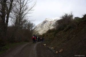 img_1335904530_646_lg