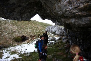 img_1335904558_520_lg