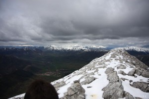 img_1335904599_650_lg