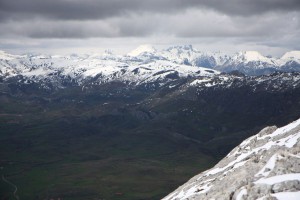 img_1335904626_891_lg