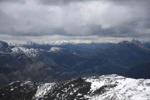 img_1335904636_539_lg