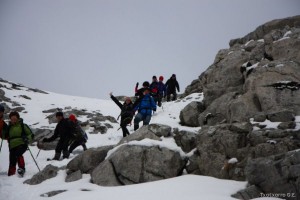 img_1335904855_740_lg