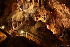 img_1335904856_478_lg