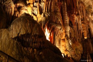 img_1335904856_997_lg