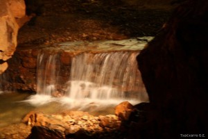 img_1335904858_952_lg