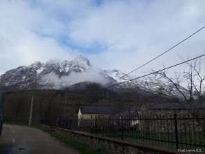 img_1336421416_407_lg