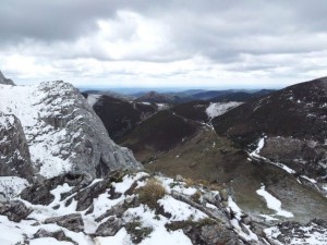 img_1336421454_269_lg