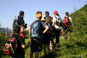 img_1219525687_665