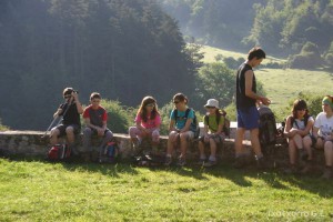 img_1219525687_810