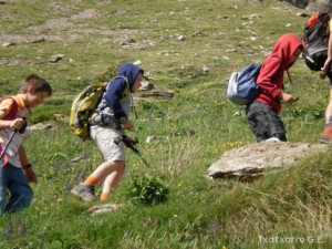 img_1246795840_178