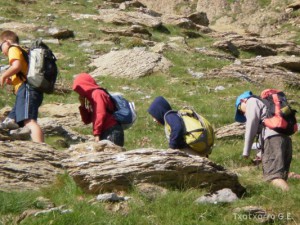 img_1246795840_222