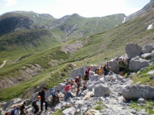 img_1246795841_393