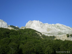 img_1248293063_247