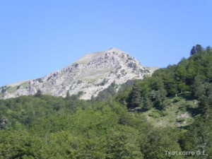 img_1248293067_918